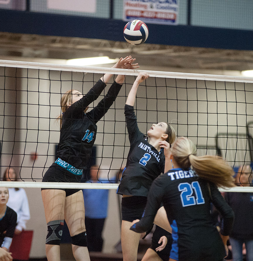 11-1 fc 14 paint bella blackburn.jpg